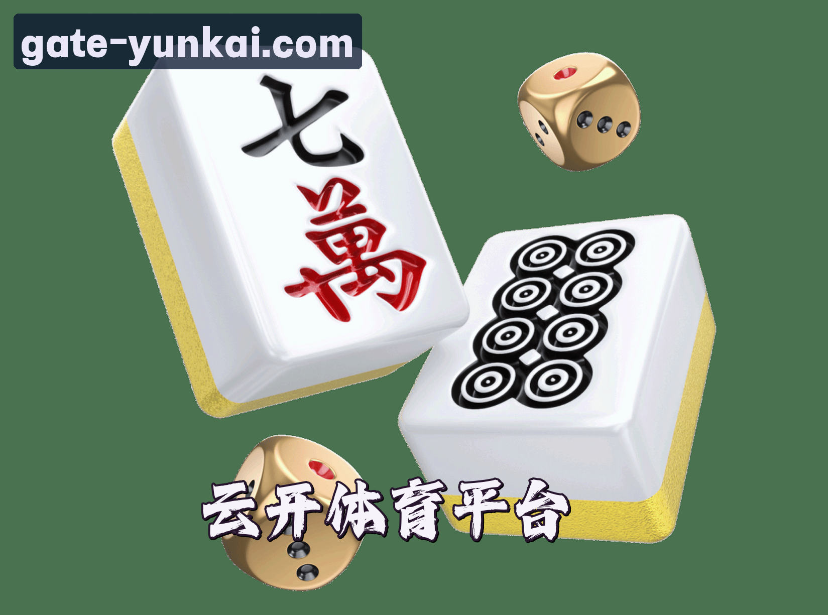 关于我们关于我们信息